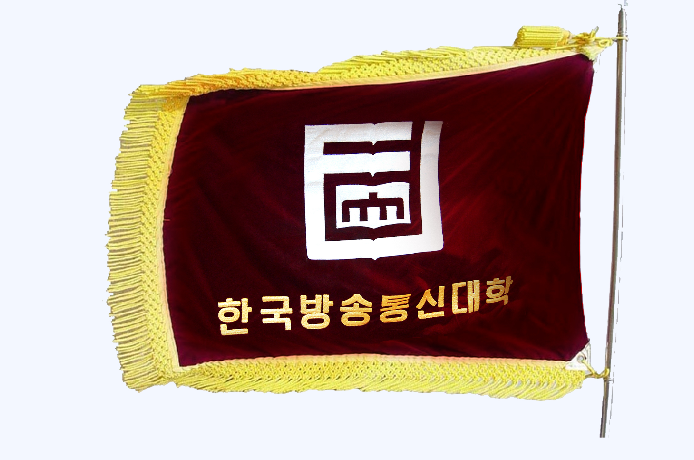 1982년 교기사진 대표이미지