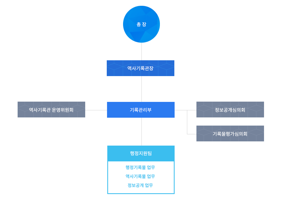 총장 밑에 역사기록관장 밑에 역사기록관장 밑에 기록관리부 밑에 행정지원팀( 행정기록물 업무, 역사기록물 업무,  정보공개 업무)/ 역사기록관장 왼쪽에 역사기록관장, 오른쪽에 역사기록관장 밑에 기록물평가심의회 